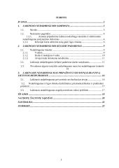 Darbuotojo laikinasis nedarbingumas ir jo teisinės pasekmės 3 puslapis