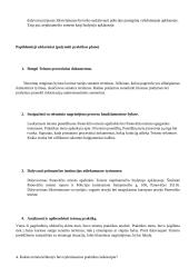 Praktikos ataskaita 4 puslapis