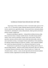 Kūryba romantizmo epochoje 14 puslapis