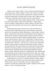 Kūryba romantizmo epochoje 3 puslapis