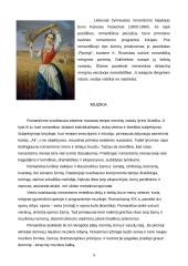 Kūryba romantizmo epochoje 9 puslapis