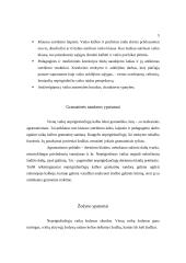 Kurtumas ir neprigirdėjimas 3 puslapis