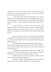 Kurtumas ir neprigirdėjimas 6 puslapis