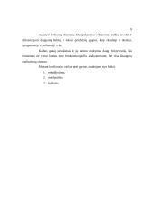 Kurtumas ir neprigirdėjimas 7 puslapis