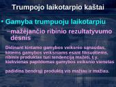 Trumpojo laikotarpio kaštai 2 puslapis