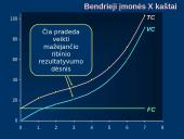 Trumpojo laikotarpio kaštai 14 puslapis