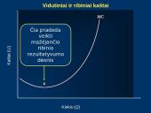 Trumpojo laikotarpio kaštai 17 puslapis