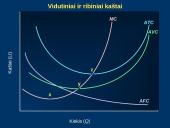 Trumpojo laikotarpio kaštai 18 puslapis