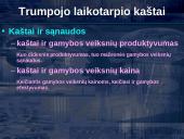 Trumpojo laikotarpio kaštai 3 puslapis