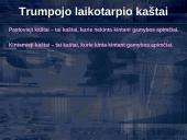 Trumpojo laikotarpio kaštai 4 puslapis