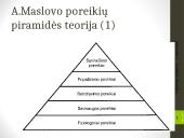 Apie vartotojo elgseną 13 puslapis
