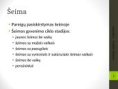 Apie vartotojo elgseną 10 puslapis
