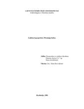 Laidotuvių papročiai. Mirusiųjų kultas