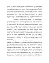 Laidotuvių papročiai. Mirusiųjų kultas 6 puslapis