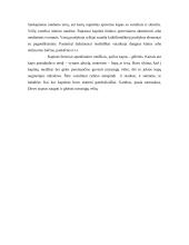 Laidotuvių papročiai. Mirusiųjų kultas 10 puslapis