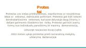 Socialinės kilmės ekstremalios situacijos 11 puslapis