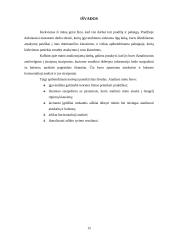 Biudžetinių įstaigų išlaidų sąmatų vykdymo analizė 11 puslapis