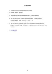 Biudžetinių įstaigų išlaidų sąmatų vykdymo analizė 12 puslapis