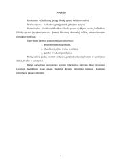 Biudžetinių įstaigų išlaidų sąmatų vykdymo analizė 2 puslapis