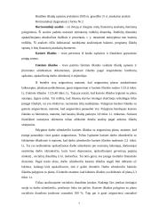 Biudžetinių įstaigų išlaidų sąmatų vykdymo analizė 5 puslapis