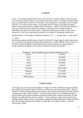 Garsas ir jo kokybės matavimas 4 puslapis