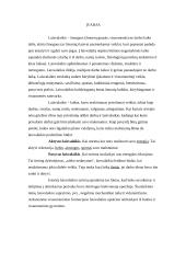 Laisvalaikio raida Lietuvoje 2 puslapis