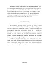 Laisvalaikio raida Lietuvoje 9 puslapis