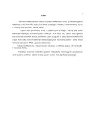 Klasicizmo pradininkas Lietuvoje - Laurynas Stuoka-Gucevičius 3 puslapis