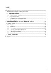 Regionų ekonominio augimo skirtumų Lietuvoje analizė 2 puslapis