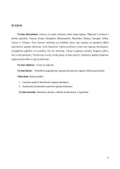 Regionų ekonominio augimo skirtumų Lietuvoje analizė 5 puslapis