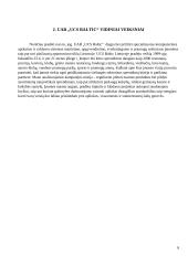 Inovacijų diegimas UAB UCS Baltic 6 puslapis