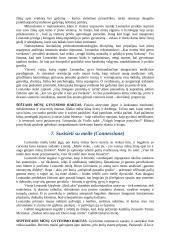 Leonardas da Vinči "Septyni gyvenimo principai" 9 puslapis