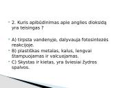 Anglies dioksidas bei klimato kaita 12 puslapis