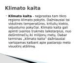 Anglies dioksidas bei klimato kaita 6 puslapis