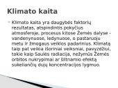 Anglies dioksidas bei klimato kaita 7 puslapis