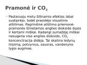 Anglies dioksidas bei klimato kaita 9 puslapis