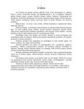 Darbuotojų skatinimo priemonės 2 puslapis