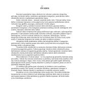 Darbuotojų skatinimo priemonės 12 puslapis