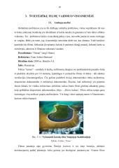 Švietėjiškas filmas 18 puslapis