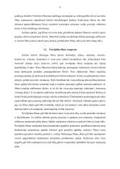 Švietėjiškas filmas 6 puslapis