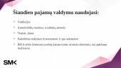 Pajamų valdymas 7 puslapis
