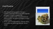 Psichotropinės medžiagos 6 puslapis