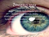 Skaidrės apie žmogaus akis 4 puslapis