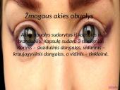 Skaidrės apie žmogaus akis 6 puslapis