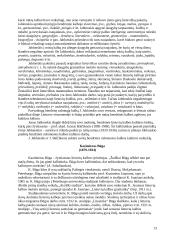 Lietuvių kalba XIX amžiuje. Lietuvių bendrinės kalbos atsiradimas 13 puslapis