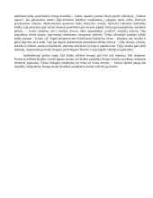 Ar klaidos padeda tobulėti? (Kudirka, Nėris) 2 puslapis