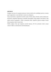 Analgino kortelė 2 puslapis