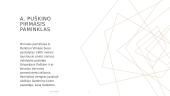 Aleksandro Puškino paminklai Vilniuje  2 puslapis