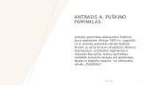 Aleksandro Puškino paminklai Vilniuje  4 puslapis