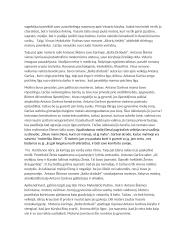 Moterų paveikslas lietuvių literatūroje (Antanas Škėma, Vincas Mykolaitis- Putinas) 2 puslapis